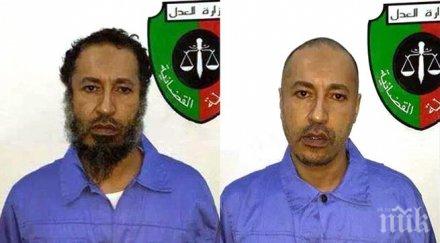 появи видео издевателства сина кадафи