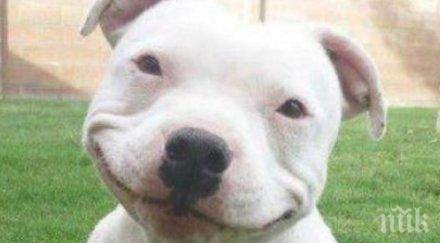 каза приятелите тъжно погледнат снимки разбраха