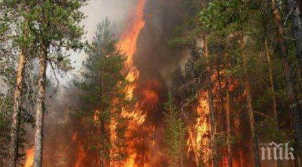 мълния подпали гора чепеларе