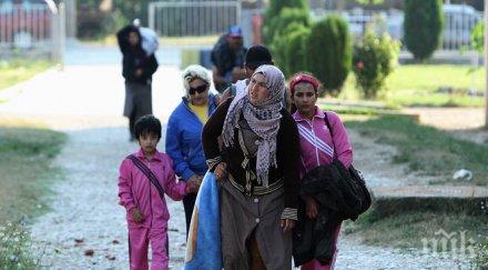 3000 бежанци дни унгария