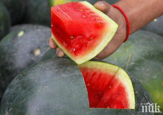 Днес е Световният ден на динята