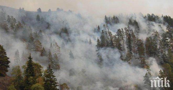 Нов пожар гори в района на Лесово	