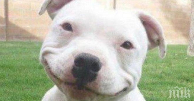 Тя каза на приятелите си, когато им е тъжно да погледнат тези снимки. Когато те разбраха защо...