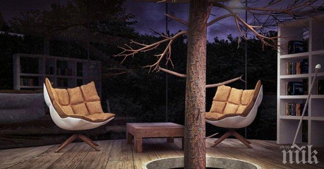 Те отказаха да отрежат дърветата и това беше най-доброто им решение, вземано някога!