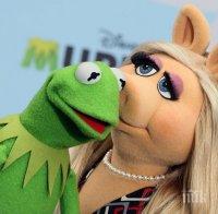 Кърмит и Мис Пиги се разведоха