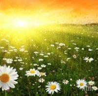 Ексклузивна прогноза за август! Сух и горещ месец вещаят синоптиците. Жегата продължава с пълна мощ - чакат ни 40 градуса и валежи