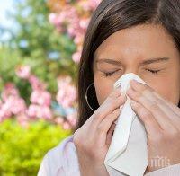 Тече ви носът? Може да е от хлебарките

 