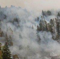 Извънредно! Огнен ад край Елхово, положението е драматично