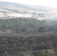 Пожарът край Лесово застрашава да навлезе и в Турция