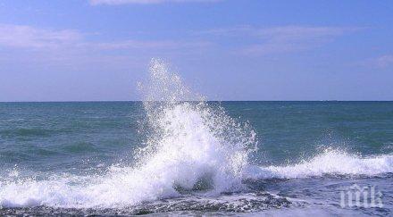 пик акула пори морските вълни