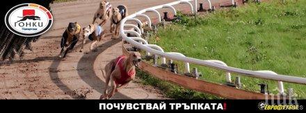 русе големи печалби гонки еврофутбол един ден