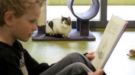 ваканциите водят срив знанията децата