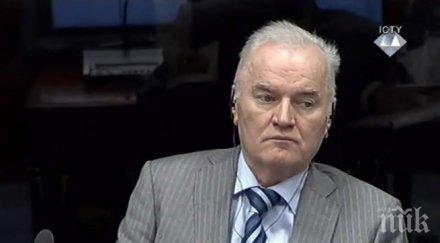 мозъка ратко младич работи