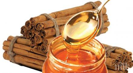 странджанският манов мед става защитена марка