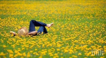 мързелът спъва младите търсят работа