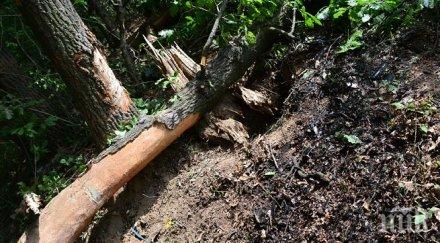 областният разград претърпя операция тежката катастрофа