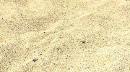 става горещо елена кучкова тръгна лов мъже морето снимки