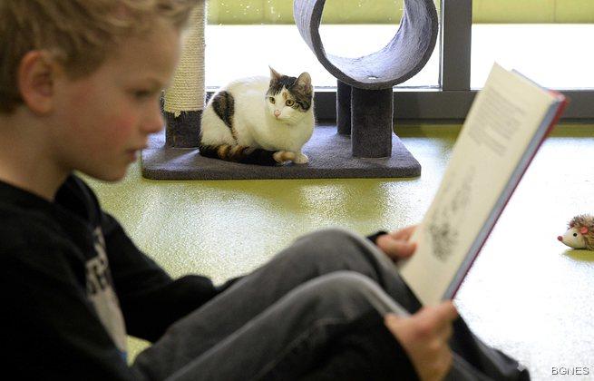 Ваканциите водят до срив в знанията на децата 