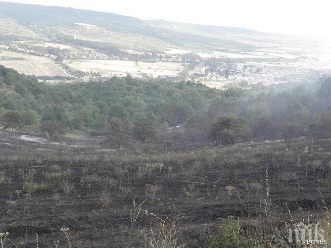 Огънят в Елховско е овладян, обливат с вода и днес района