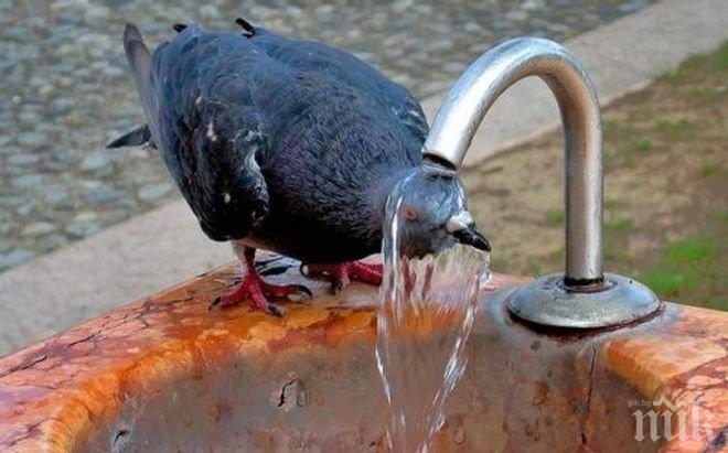 Месец юли е бил най-горещият в Испания за последните 30 години