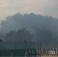 Пожарът между Слънчев бряг и Свети Влас вече погълна три коня и лека кола (снимки)