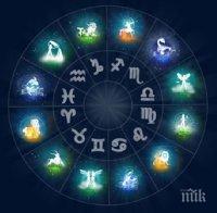 Забавен хороскоп - вижте кое цвете сте според зодията