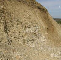 Археологическа находка във Видин! Откриха кости на кит на 10 млн. г. (снимки)