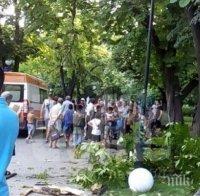 Клон падна върху жена в Пловдив, има сериозни рани по главата