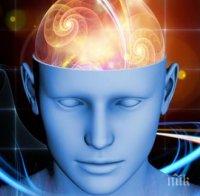 Суперкомпютър успешно симулира една секунда мозъчна активност