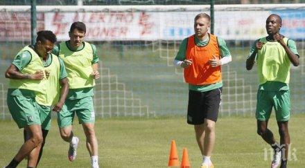 лудогорец замразява продажбите