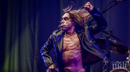 чест иги поп гръндж звезди правят супергрупа