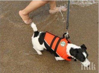 пуснаха пазара спасителни жилетки лаещите плувци