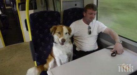 един обикновен ден изпълнен уникални емоции един стопанин неговото куче уоу случи невъзможното