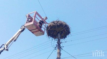 село организира спасителна акция щъркел