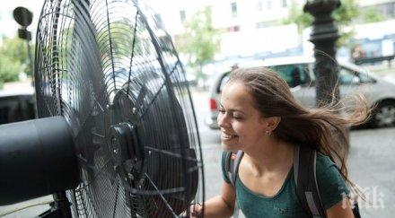 жегите германия удариха рекорди