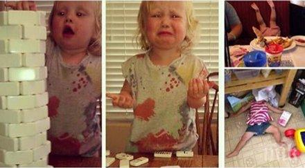 сладки палавници очароват