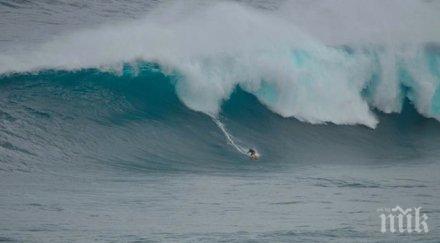 тревога опасно вълнение хаваите видео