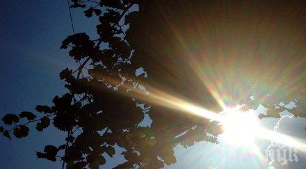 жълт код области заради вятър