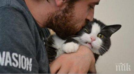 котки обичат гушкат ясно заявиха своята позиция уникална колекция снимки заслужава твоето внимание