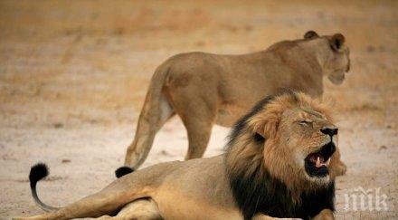 вдигат бронзова статуя сесил