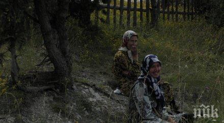 българи берачи боровинки стокхолм излъгани оставени без пари