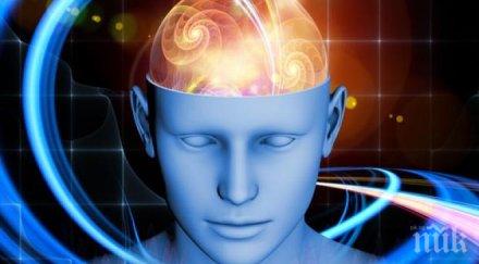 суперкомпютър успешно симулира една секунда мозъчна активност