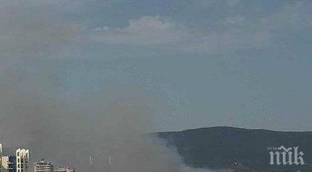пожарът слънчев бряг овладян пътя варна задръствания