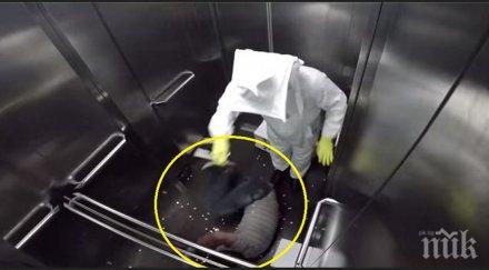 влезе асансьора кутия пълна пчели случи после хахаха наричат чистото зло