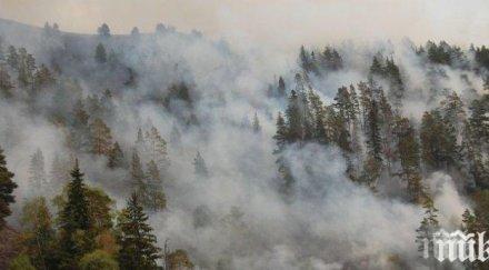 глaвен инспектор стефан стефанов пожарите причинени човешка небрежност