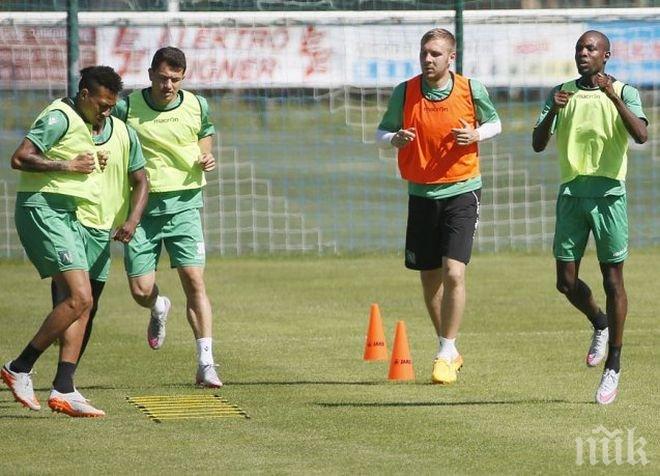 Лудогорец замразява продажбите