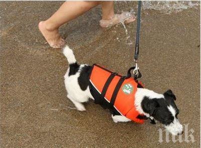 Пуснаха на пазара спасителни жилетки и за лаещите плувци