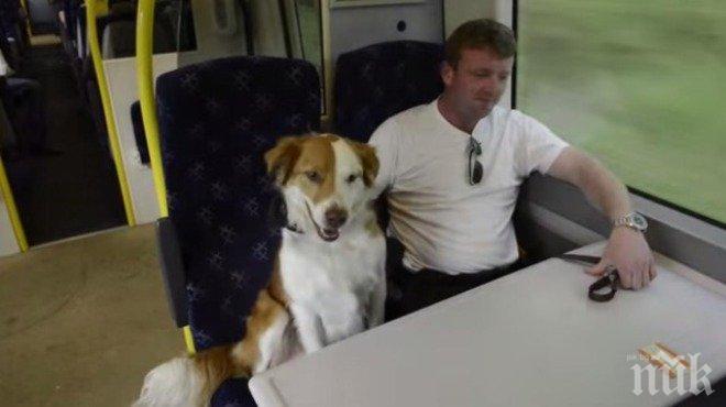 Един обикновен ден, изпълнен с уникални емоции за един стопанин и неговото куче... УОУ Случи се невъзможното!