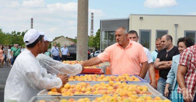 Бойко Борисов без летен отпуск