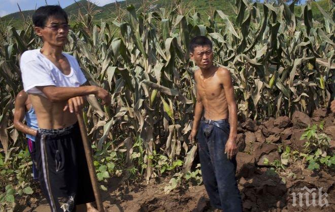 Незаконни пазари-скакалци в Северна Корея развиват капитализъм от низините